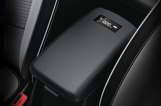 Auto healthy air purifier
