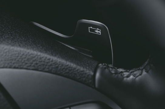 Paddle Shift (For regenerative braking)